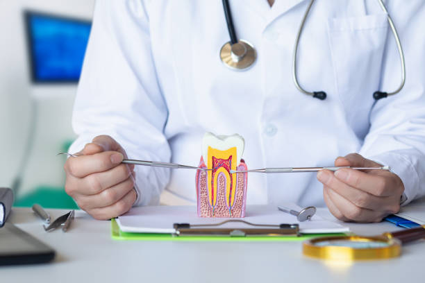 Best Emergency Root Canal Therapy in Fort Worth, TX